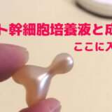 これいい！ヒト幹細胞美容液「ビハクエン・セルリバイタルセラム」コスメが届いたよ