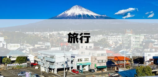 定年退職後は旅行を趣味に
