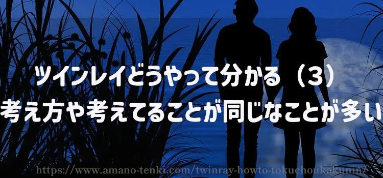 ツインレイどうやって分かる（３）考え方や考えてることが同じなことが多い