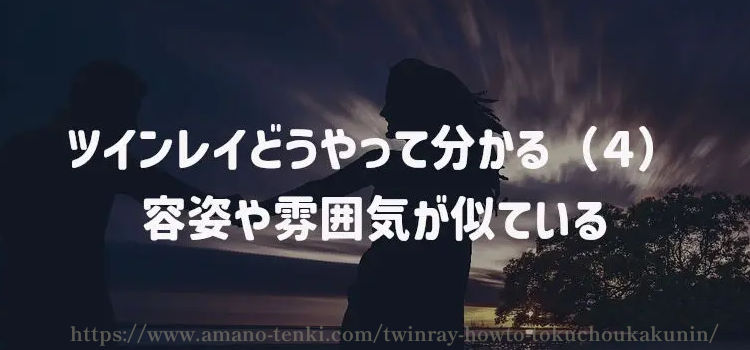 ツインレイどうやって分かる（４）容姿や雰囲気が似ている