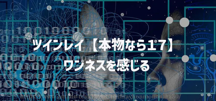 ツインレイ【本物なら１７】ワンネスを感じる