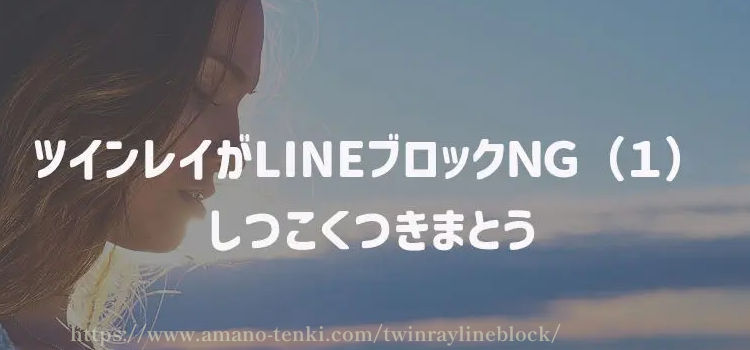 ツインレイがLINEブロックＮＧ（１）しつこくつきまとう