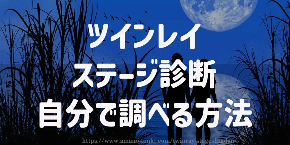 ツインレイ【ステージ診断】自分で調べる方法