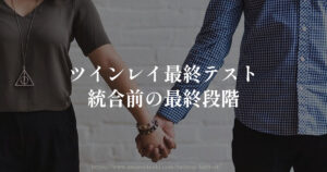 ツインレイ【最終テスト】統合前の最終段階！ラスボスと刺客