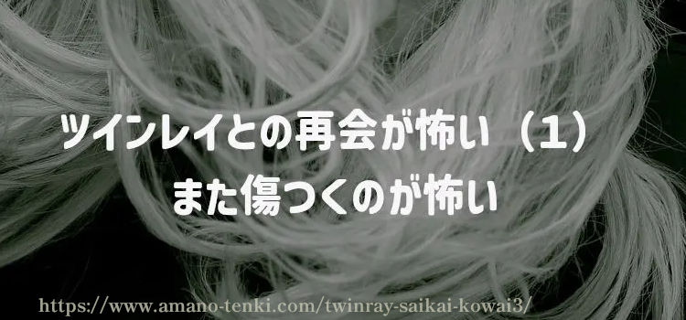 ツインレイとの再会が怖い（１）また傷つくのが怖い