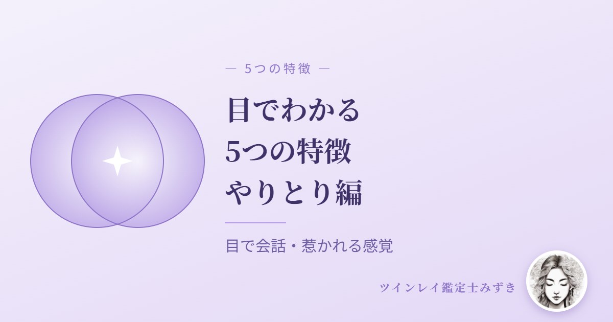 ツインレイ【目でわかる】5つの特徴｜やりとり編